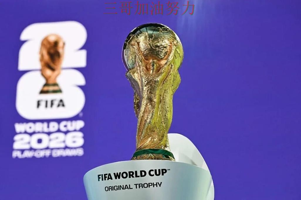 新手必看:世界杯投注平台合集稳定性评测+直播详解 + 2026世界杯 新手必看:世界杯投注平台合集稳定性评测+直播详解 + 2026世界杯